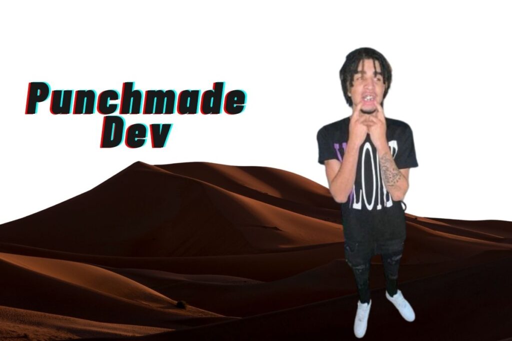 Punchmade Dev