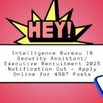 Intelligence Bureau IB Security Assistant